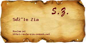 Süle Zia névjegykártya